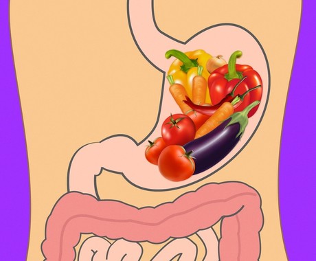 optimal food culture for-continuous health,زمان هزم سبزیجات خام